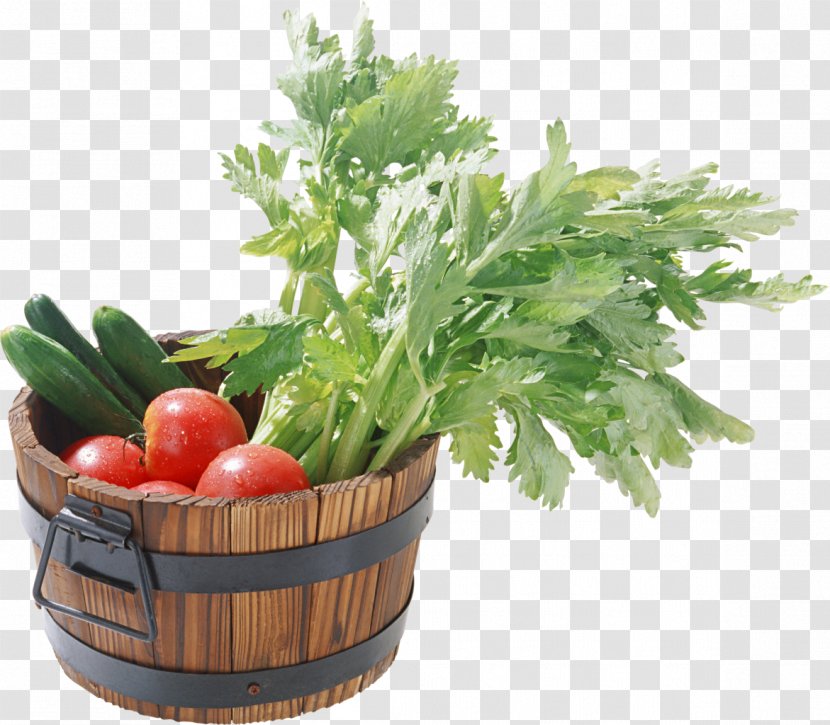 Vegetable Food Wild Celery Starch Fruit - Nutrition - Tomato Transparent PNG