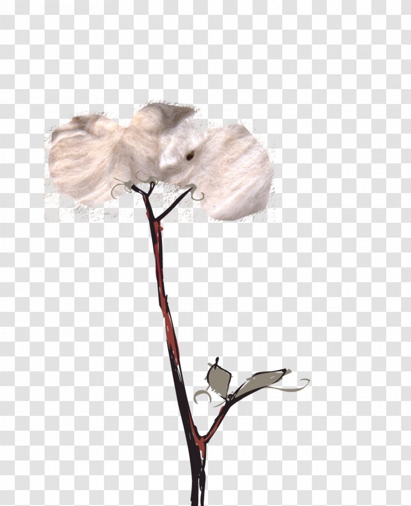 Petal Cut Flowers Flowering Plant - Cotton Transparent PNG