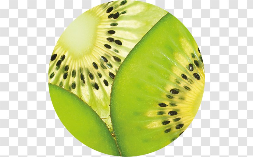 Kiwifruit Food Chicken Ingredient - Flightless Bird Transparent PNG