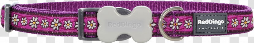 Dingo Dog Collar Leash Pet Tag - Rescue Transparent PNG