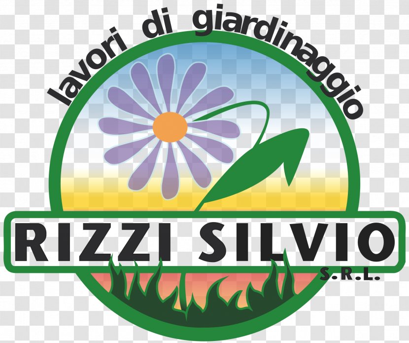 Argelato Logo Via Nuova Brand Product - Flower - Bolona Transparent PNG