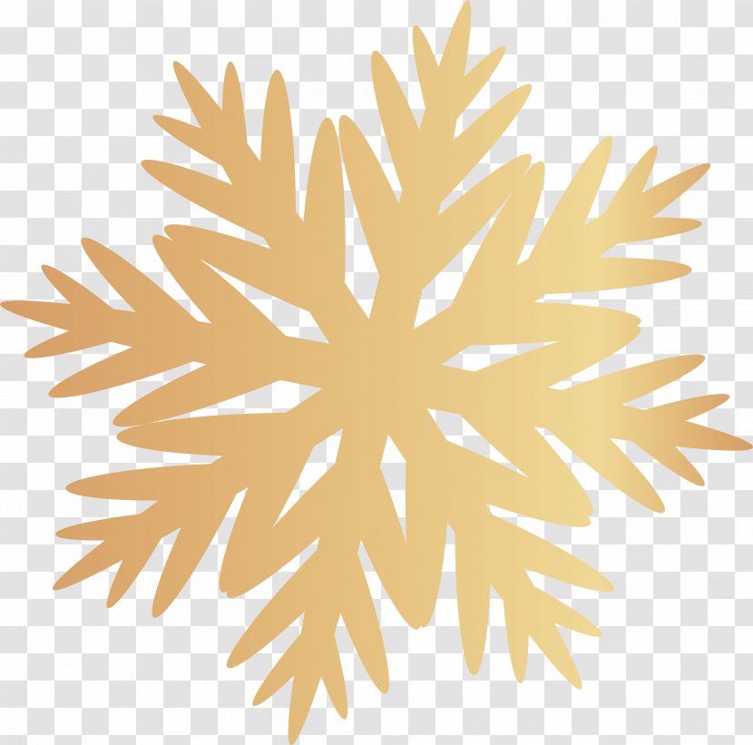 Snowflake - Symmetry - Snowflakes Transparent PNG