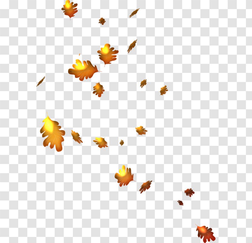 Autumn Leaves Clip Art - Orange Transparent PNG