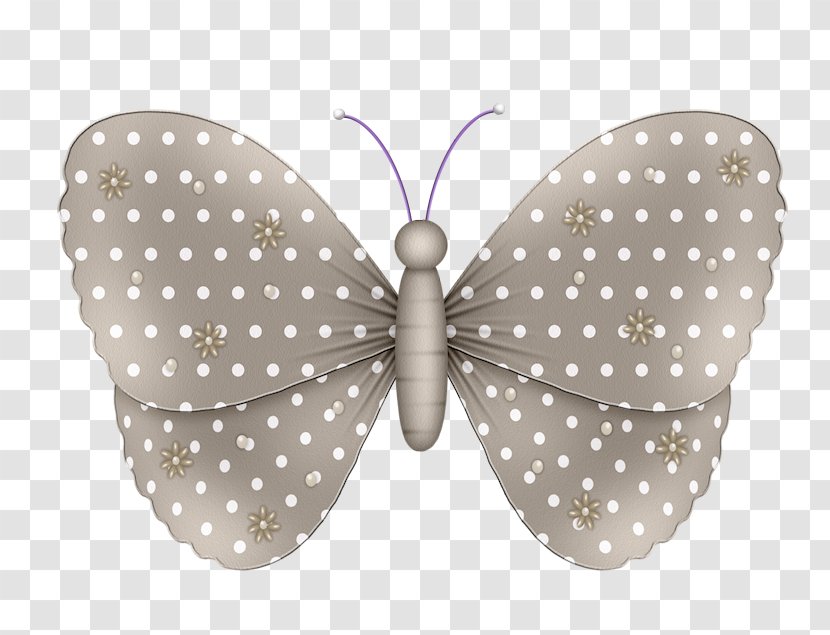 Butterfly Moth Drawing - Picture Frames Transparent PNG