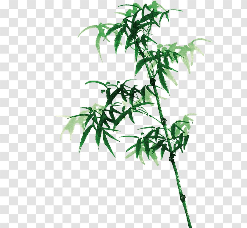 Bamboo Bambusa Oldhamii Ink Wash Painting - Leaf Transparent PNG