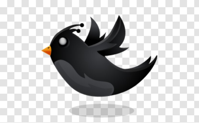 Bird Emoticon - Common Raven Transparent PNG