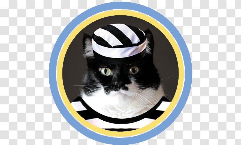 Common Admission Test (CAT) · 2018 Utah State Prison Prisoner - Whiskers - Cat Transparent PNG