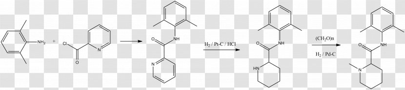 Tocopheryl Acetate White Alpha-Tocopherol Chemistry - Flower - Watercolor Transparent PNG