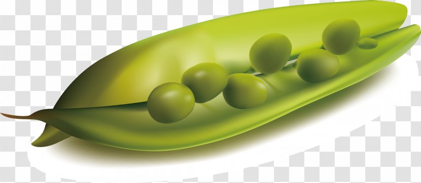 Pea Vegetable Fruit - Ingredient - Peas Vector Transparent PNG