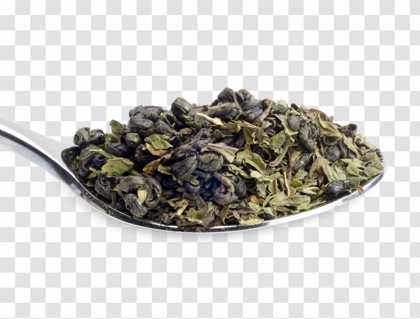 Tieguanyin Gunpowder Tea Oolong Earl Grey Biluochun - Mint Leaf Transparent PNG
