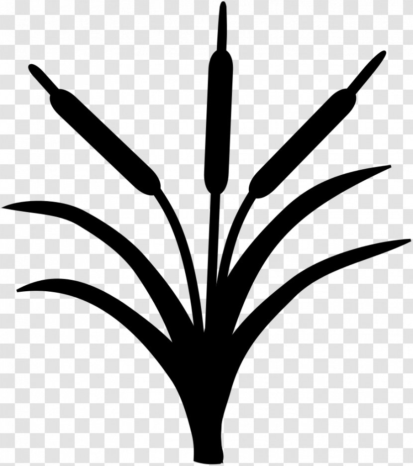 Leaf Plant Stem Flower Line Clip Art - Tree Transparent PNG