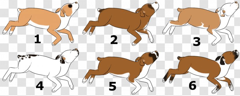 Dog Breed Non-sporting Group Horse Cat - Carnivoran - Boxe Transparent PNG