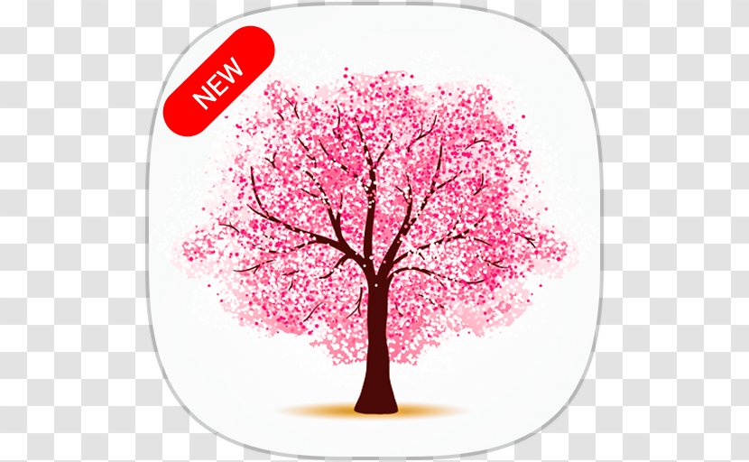 Cherry Blossom Tree - Drawing - NOROZ Transparent PNG