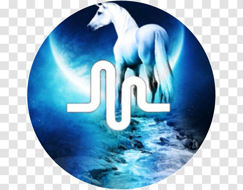 Musical.ly Unicorn Image Logo - Cartoon Transparent PNG