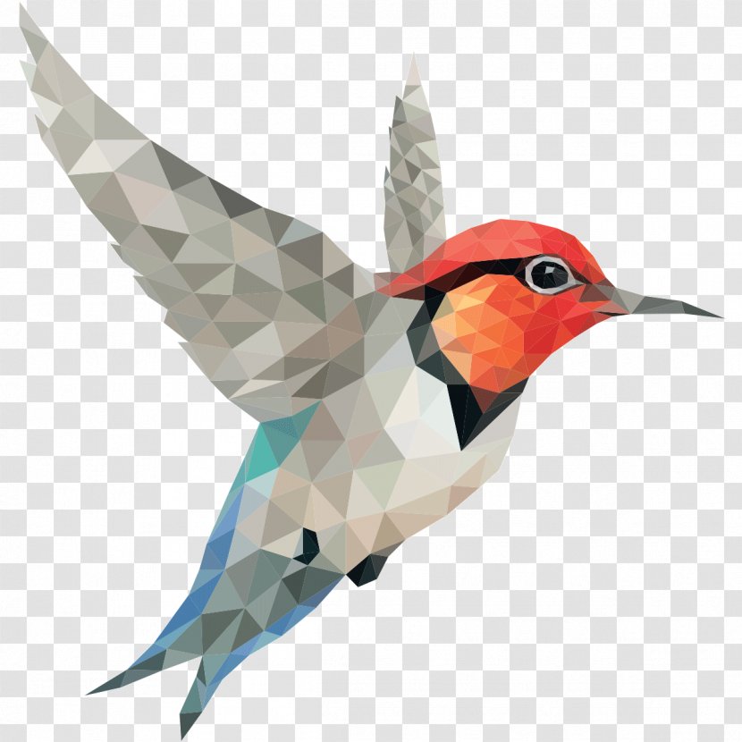Clip Art Desktop Wallpaper Bird Image - Feather - Colibri Transparent PNG
