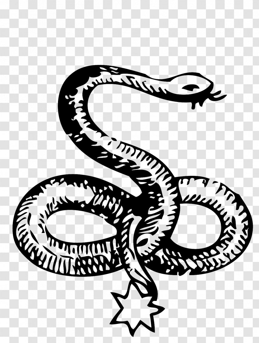 Snake Symbol Serpent Paganism Celtic Knot Transparent PNG
