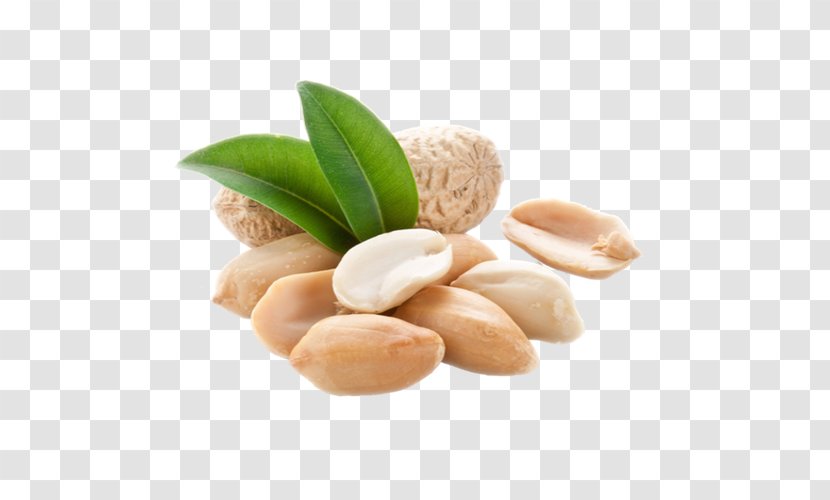 Peanut Allergy Food Breakfast Health - Oil Transparent PNG