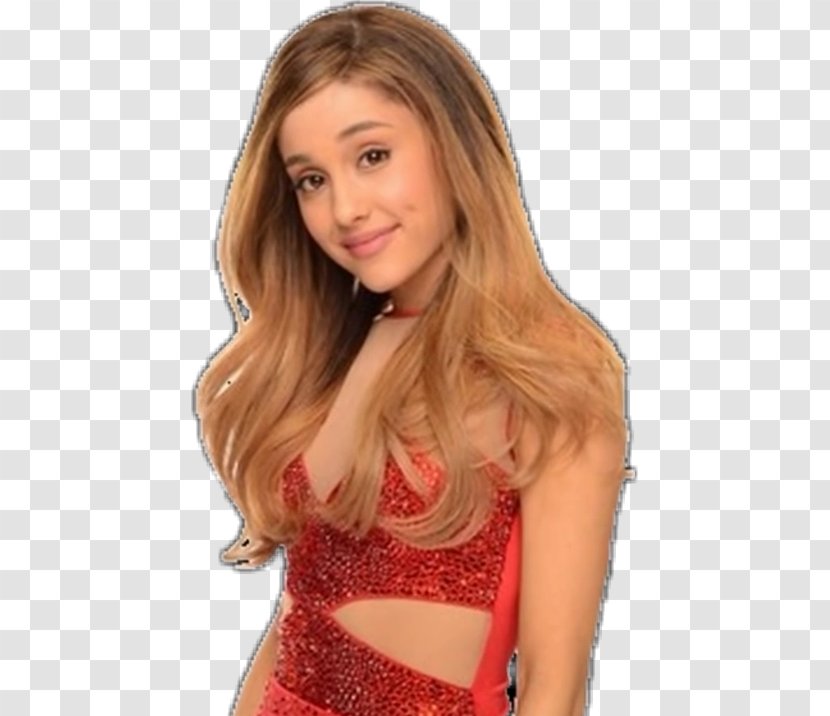 Ariana Grande Staples Center KIIS-FM Jingle Ball Victorious Photography - Frame Transparent PNG