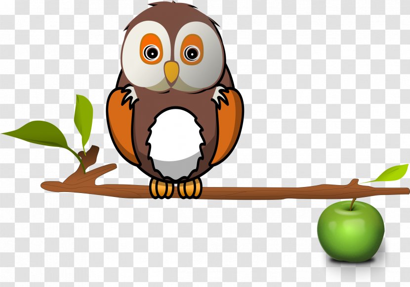 Branch Owl Tree Clip Art - Owls Transparent PNG