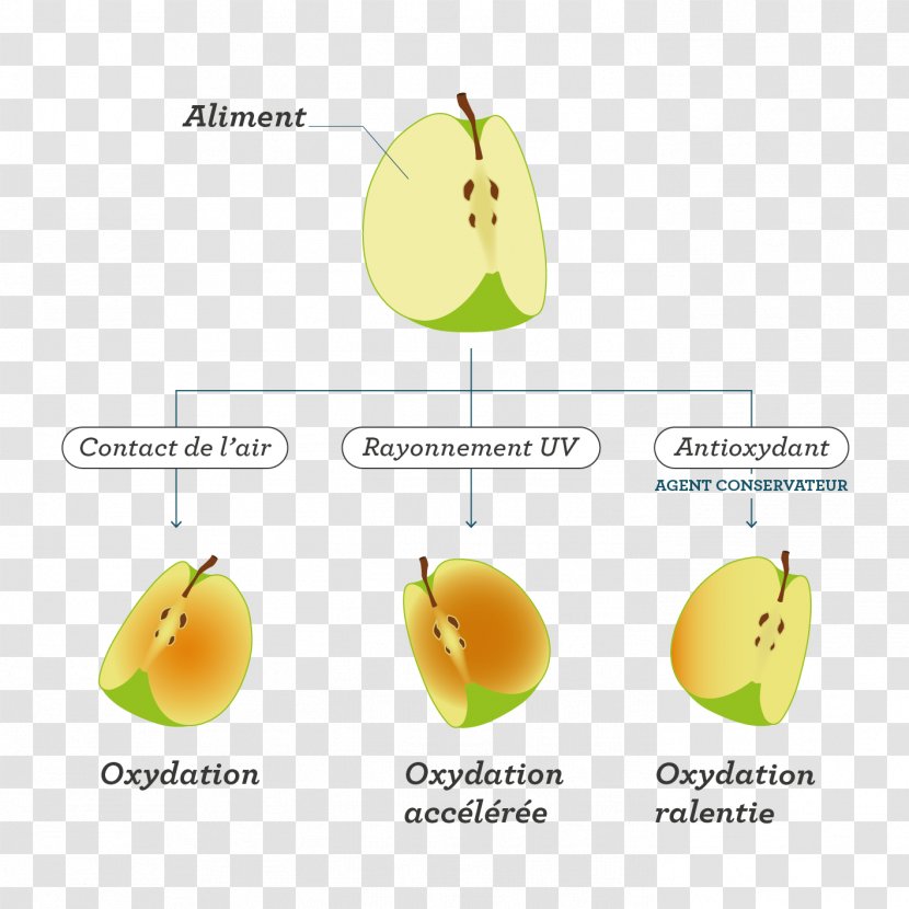 Fruit Food Chemistry Redox Eating - Definition Transparent PNG