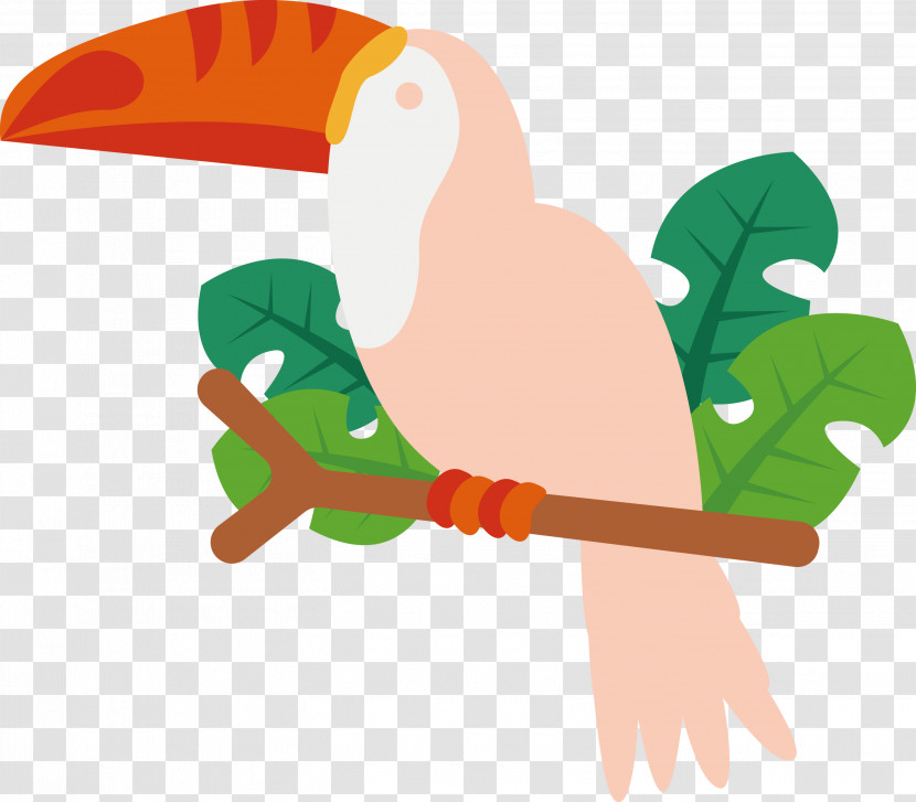 Beak Birds Character Water Bird Line Transparent PNG