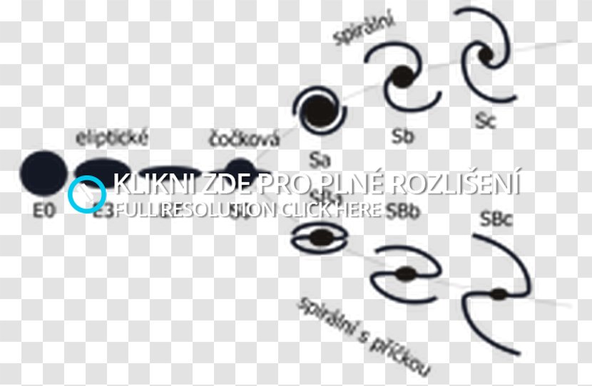 Logo Body Jewellery Brand Font Transparent PNG