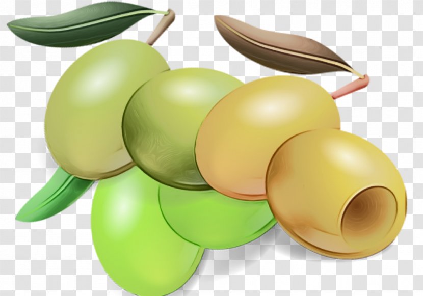 Olive Plant Fruit Food - Wet Ink Transparent PNG