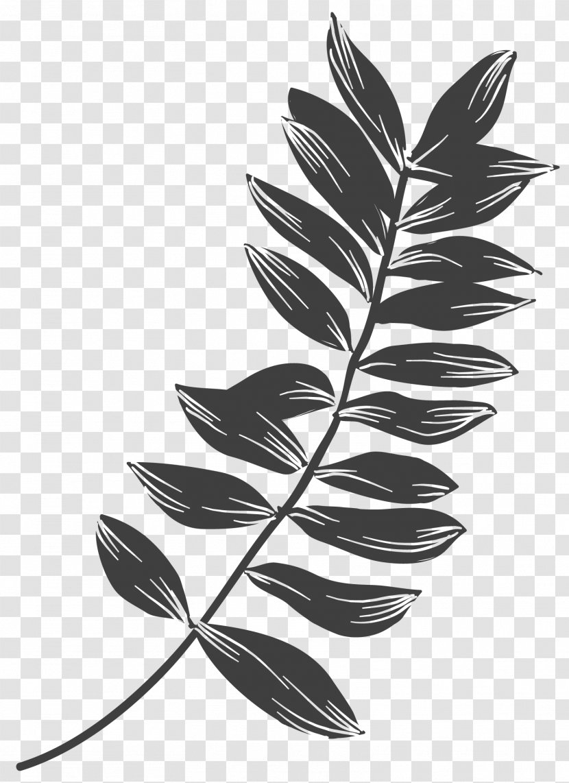 Plant Leaves Leaf Black And White - Ink Brush Transparent PNG