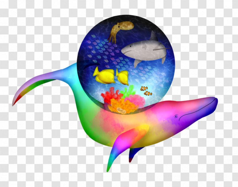 Marine Mammal Desktop Wallpaper Computer Fish Transparent PNG