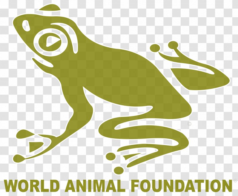 The Animal Foundation Non-profit Organisation Otter Wildlife Conservation - World Wide Fund For Nature - Adoption Transparent PNG