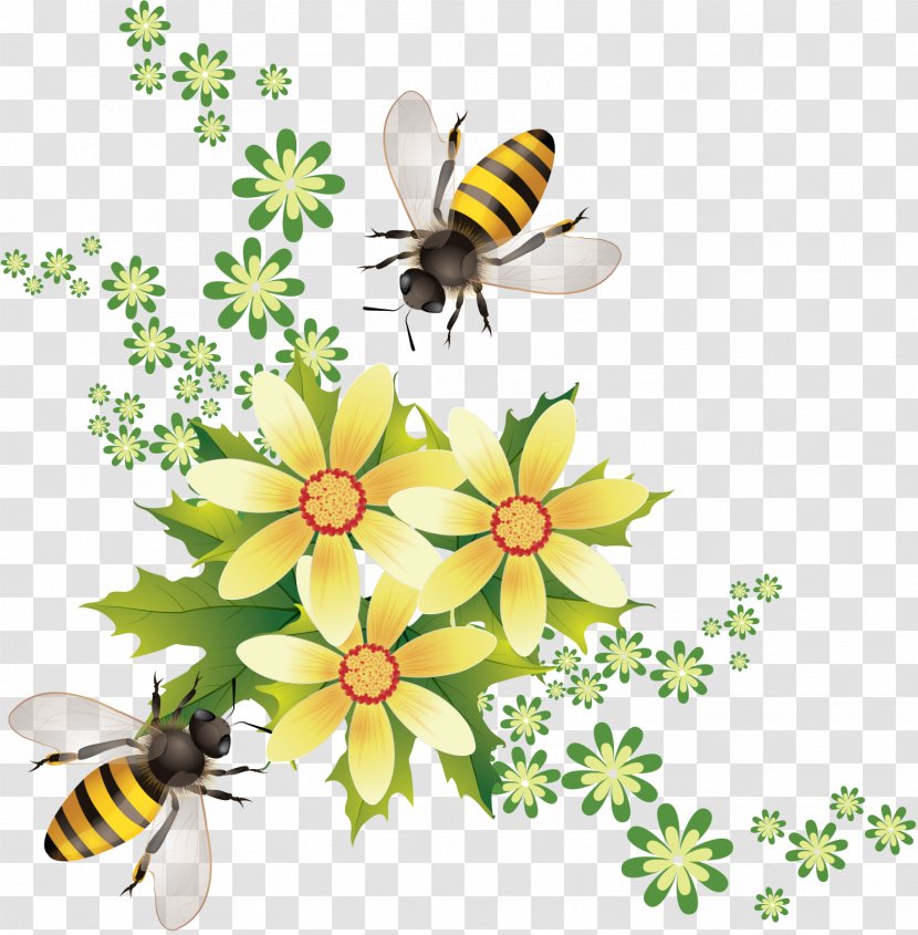 Honey Bee Insect Honeycomb Transparent PNG