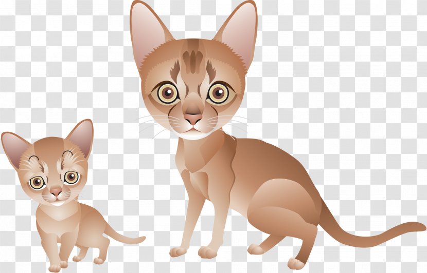 Kitten Singapura Cat Abyssinian Whiskers Paw - Vector Transparent PNG