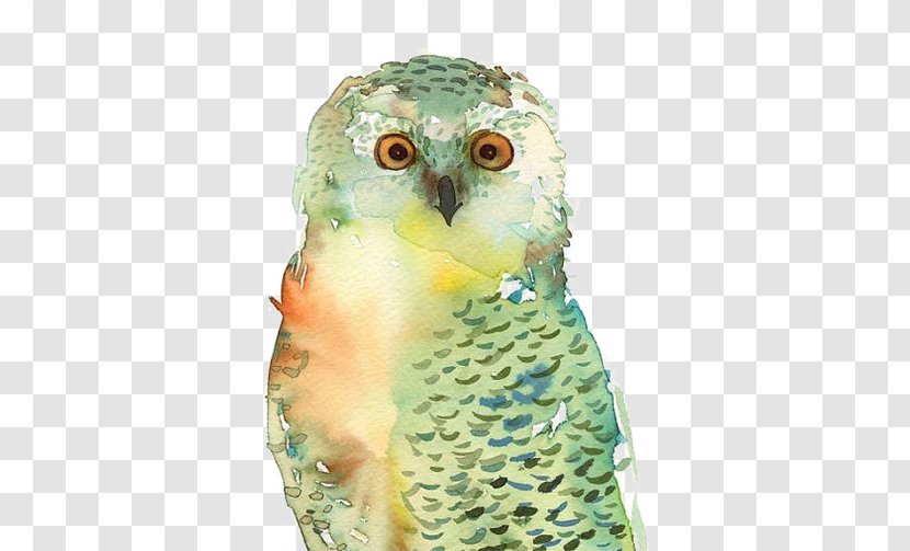 Owl T-shirt Bird Paper Watercolor Painting Transparent PNG