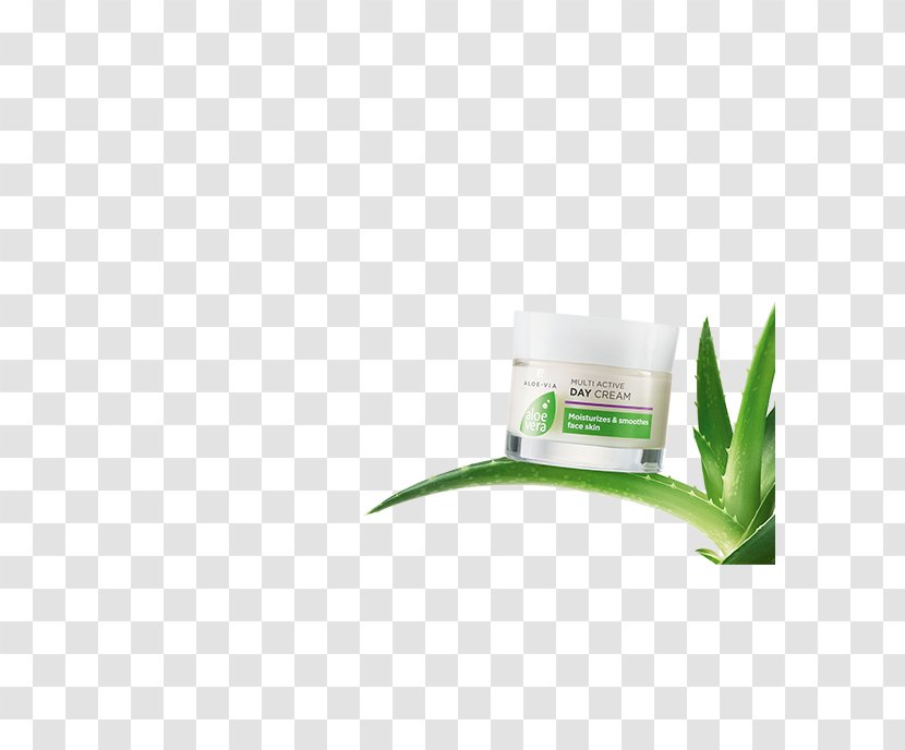 LR Health & Beauty Systems Aloe Vera Online Shop Plant Skin - Lr - Face Mask Transparent PNG