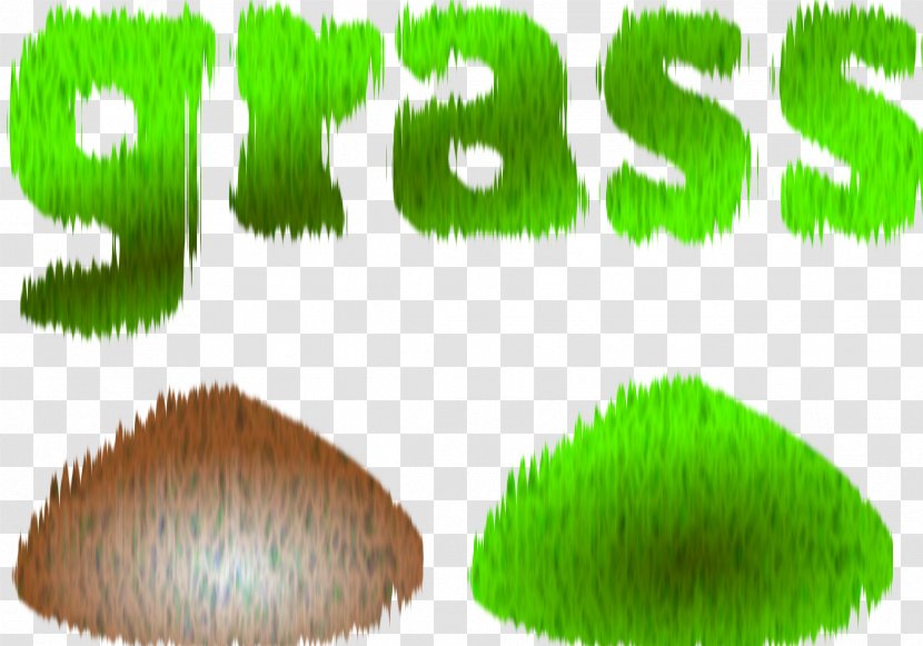 Grasses Clip Art - Green - Grass Transparent PNG