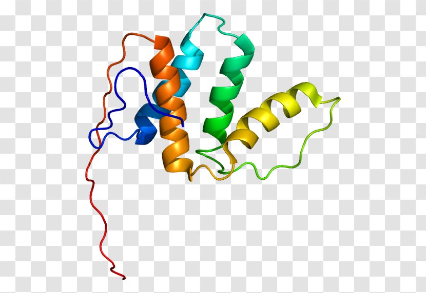 Gene Enoyl CoA Isomerase Enzyme Wikipedia ACOX1 - Heart - Watercolor Transparent PNG