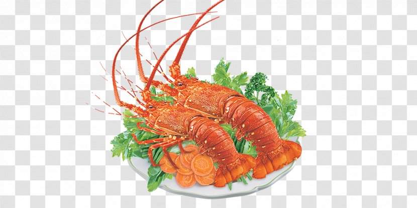 Lobster Seafood Sashimi Crab Crayfish As Food - Vegetable - Lobsters Transparent PNG