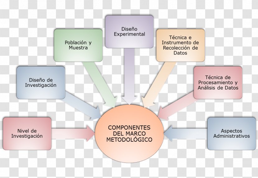 Brand Organization Diagram - Metodologia Transparent PNG