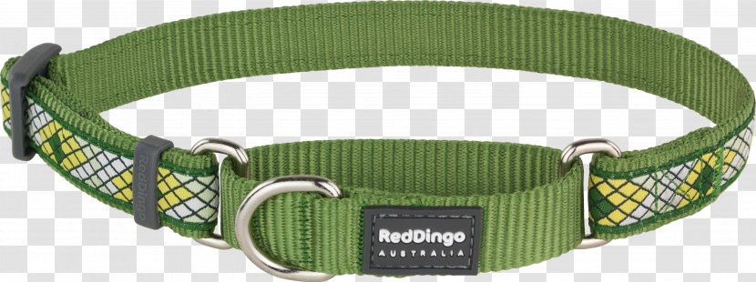 Dog Collar Dingo Martingale - Cat Transparent PNG
