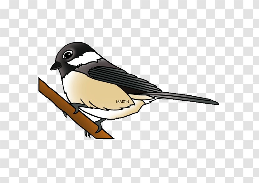 Black-capped Chickadee Clip Art - Emberizidae - Northern Cardinal Transparent PNG