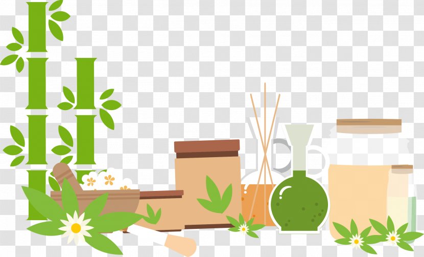 Experiment Icon - Flower - Green Bamboo Transparent PNG