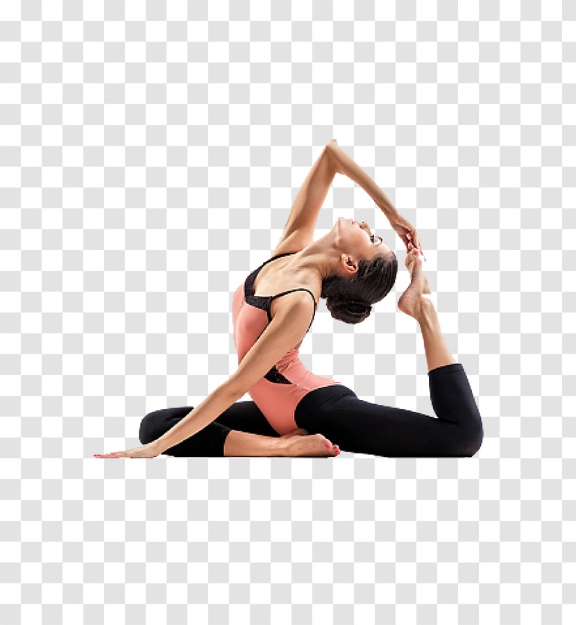 Yoga Exercise Stretching Fitness Centre - Tree Transparent PNG