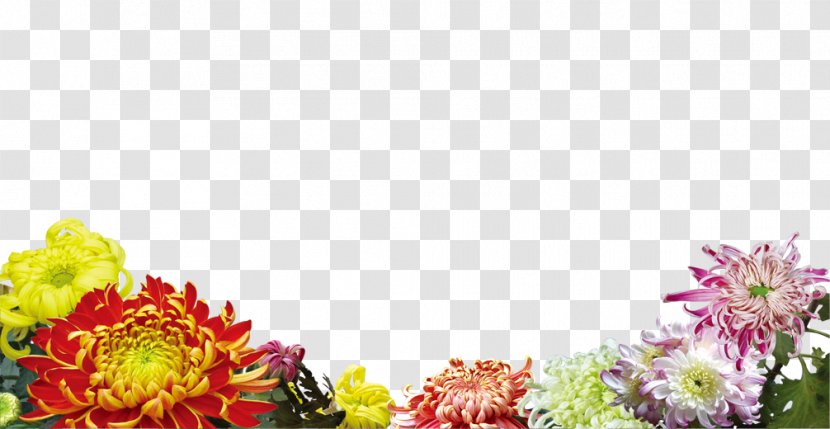 Flower Poster - Color - Flowers Transparent PNG