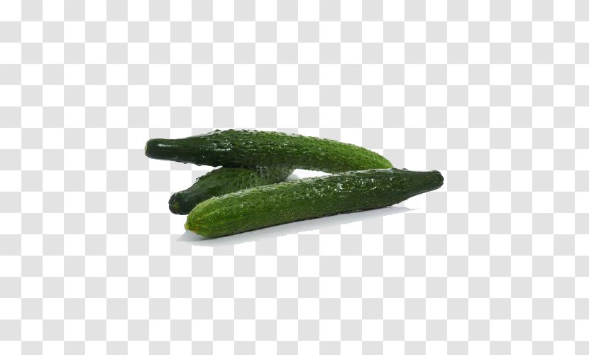 Pickled Cucumber Muskmelon - Vegetable - Fresh Transparent PNG