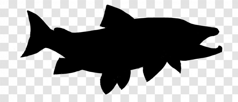 Shark Clip Art Silhouette Black M - Bonyfish - Fin Transparent PNG