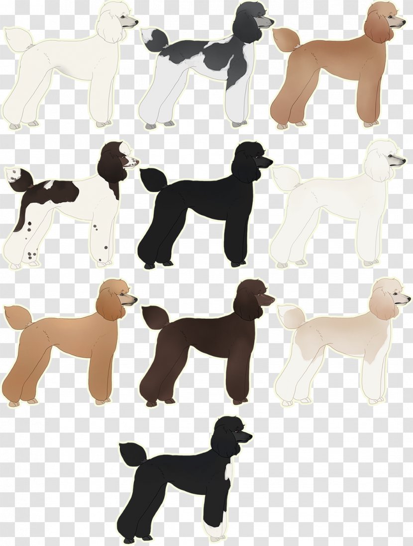 Dog Breed Companion Animal - Group Transparent PNG
