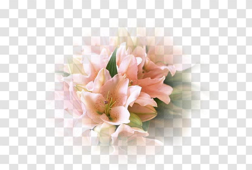International Women's Day 8 March Ansichtkaart Holiday - Flower Bouquet - World Wide Web Transparent PNG