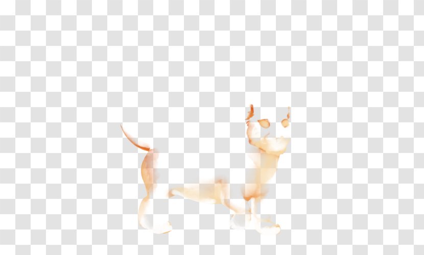 Whiskers Kitten Paw Desktop Wallpaper Close-up - Cat Like Mammal Transparent PNG