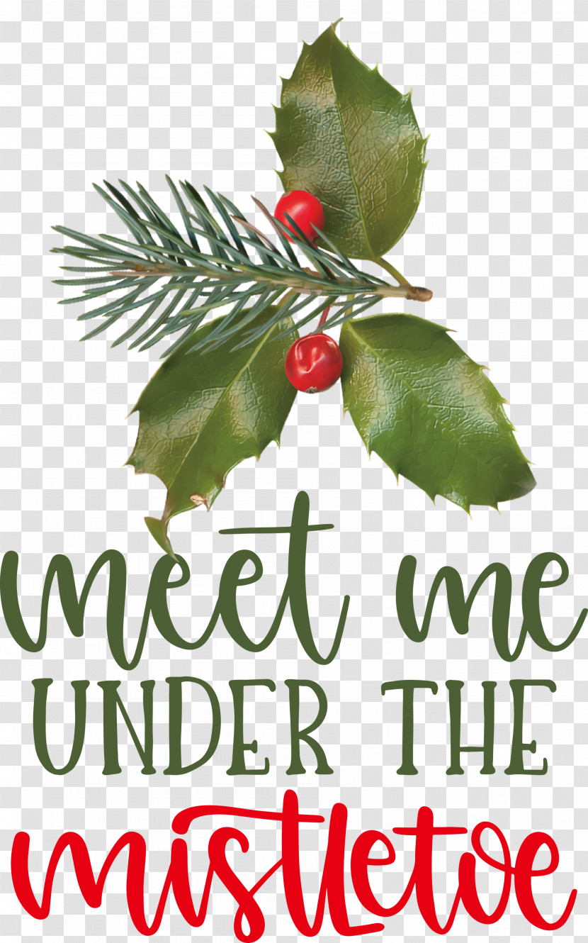 Meet Me Under The Mistletoe Mistletoe Transparent PNG