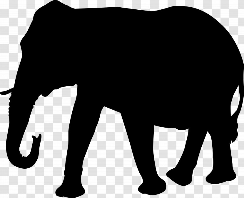 Elephant Background - Wildlife - Tail Stencil Transparent PNG